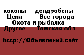 коконы    дендробены › Цена ­ 25 - Все города Охота и рыбалка » Другое   . Томская обл.